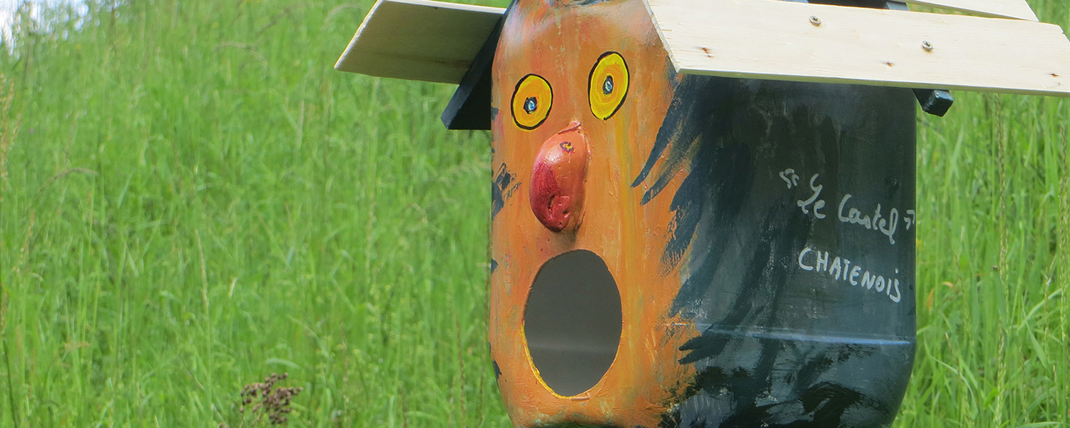 Newsletter | juin 2019